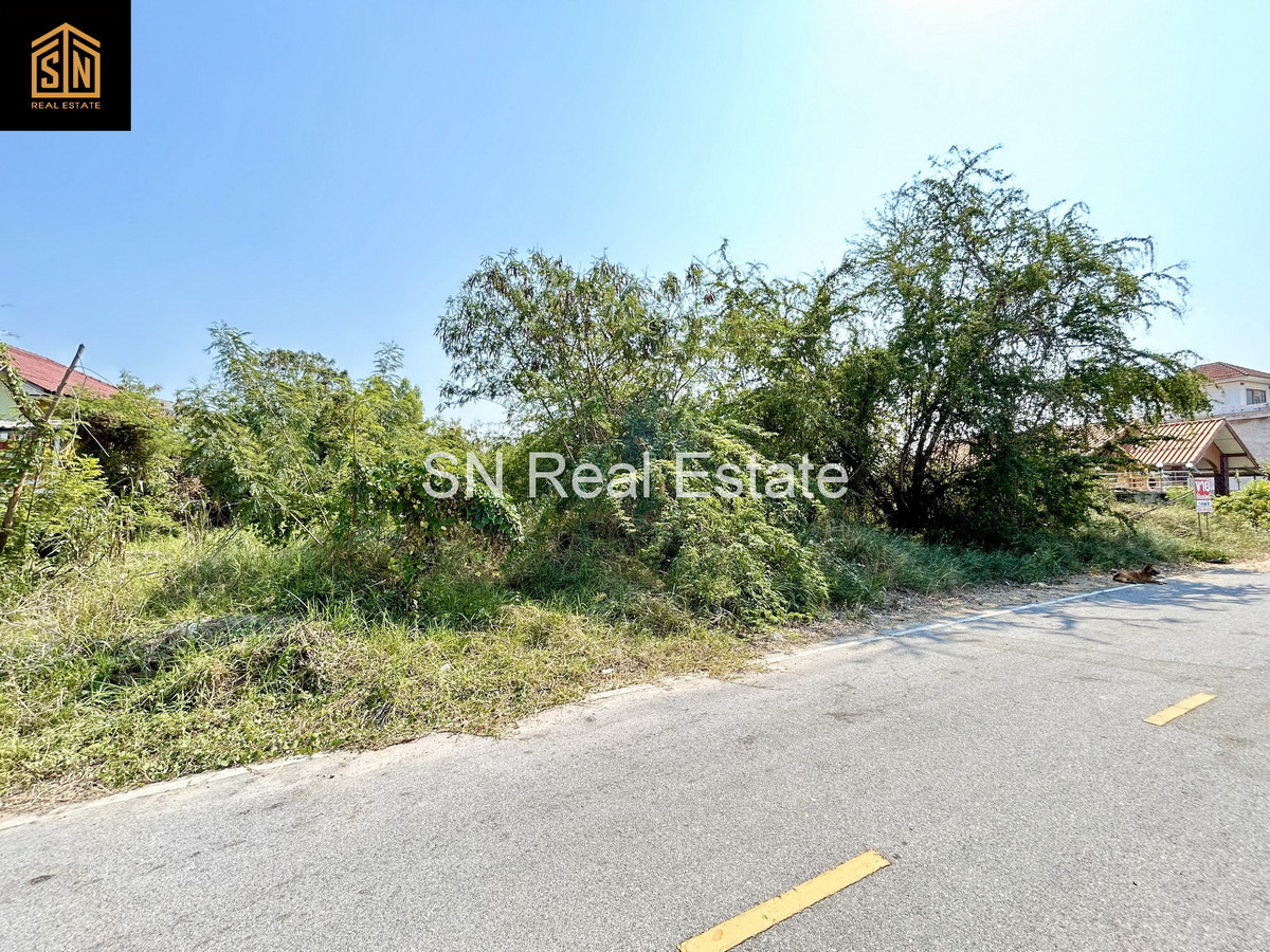 ขายที่ดิน 1 ไร่ ซอยชะอำ 67 จ.เพชรบุรี ถนนเพชรเกษม – รูปที่ 4