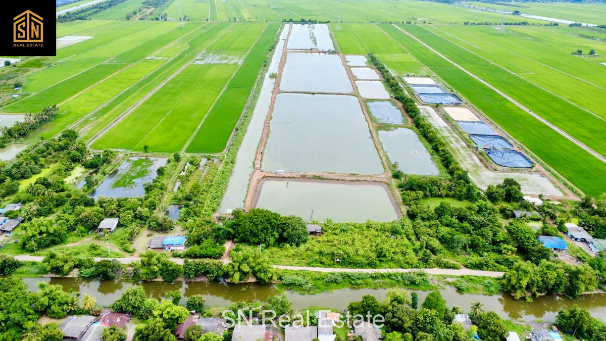 ขายที่ดิน บ่อเลี้ยงปลา อ.บางน้ำเปรี้ยว 117 ไร่   – รูปที่ 3