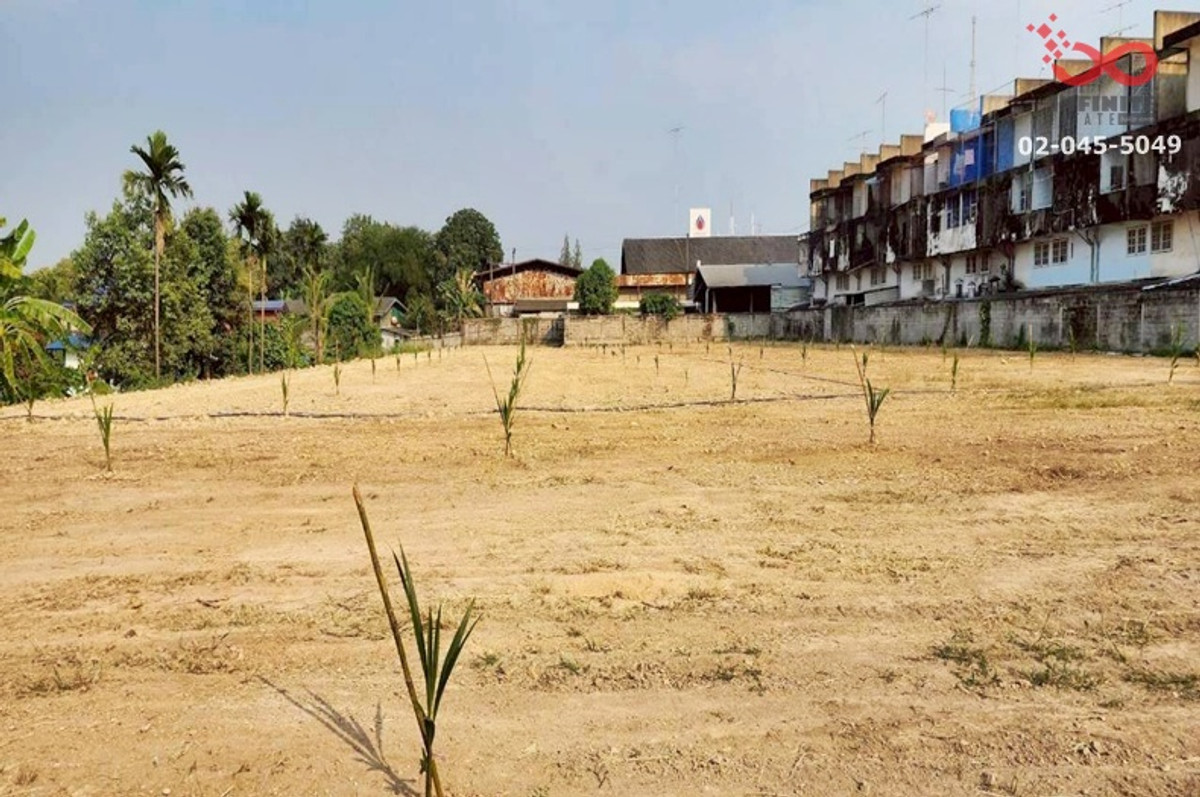 ขายที่ดิน ถมแล้ว 7 ไร่ 206.5 ตร.วา หน้าเมือง ราชบุรี ติดถนนเพชรเกษม – รูปที่ 3