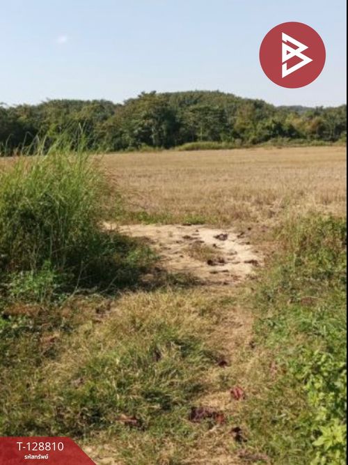 Land for sale, area 10 rai 2 ngan 80.2 sq m, Doi Luang, Chiang Rai.