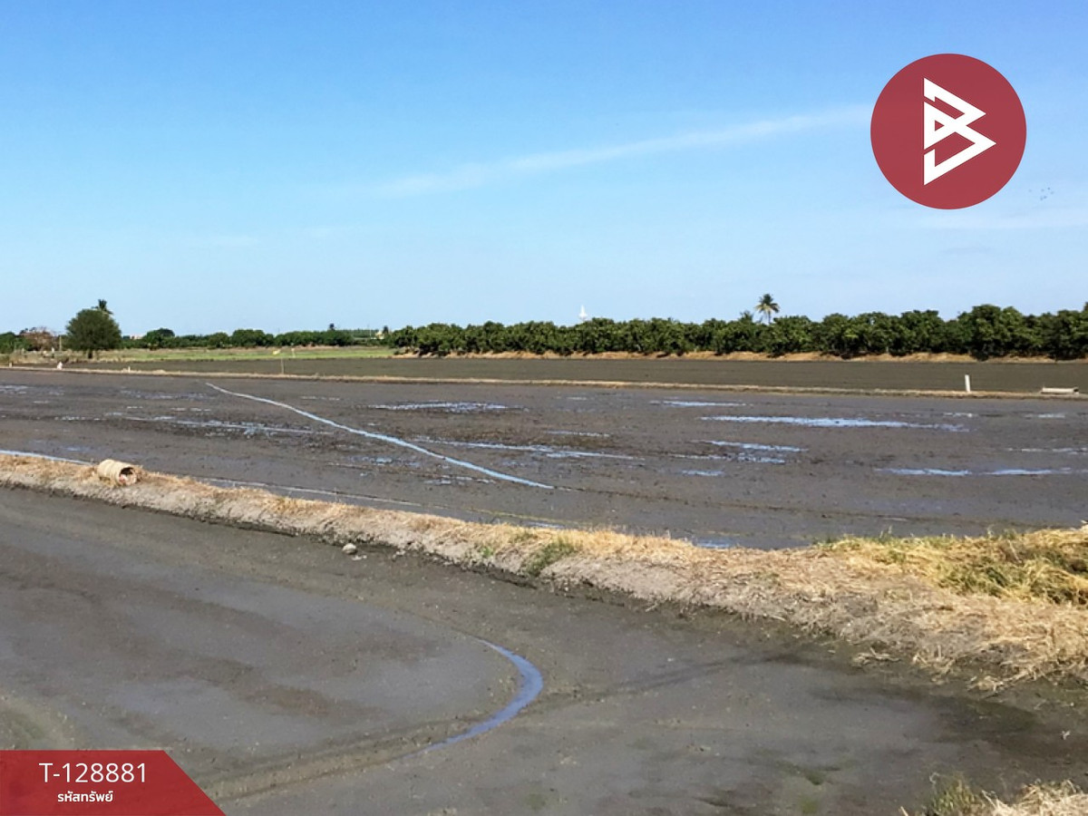 Empty land for sale, area 3 rai 2.2 square wah, Thap Tee Lek, Suphanburi.