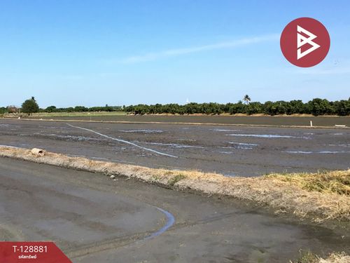 Empty land for sale, area 3 rai 2.2 square wah, Thap Tee Lek, Suphanburi.