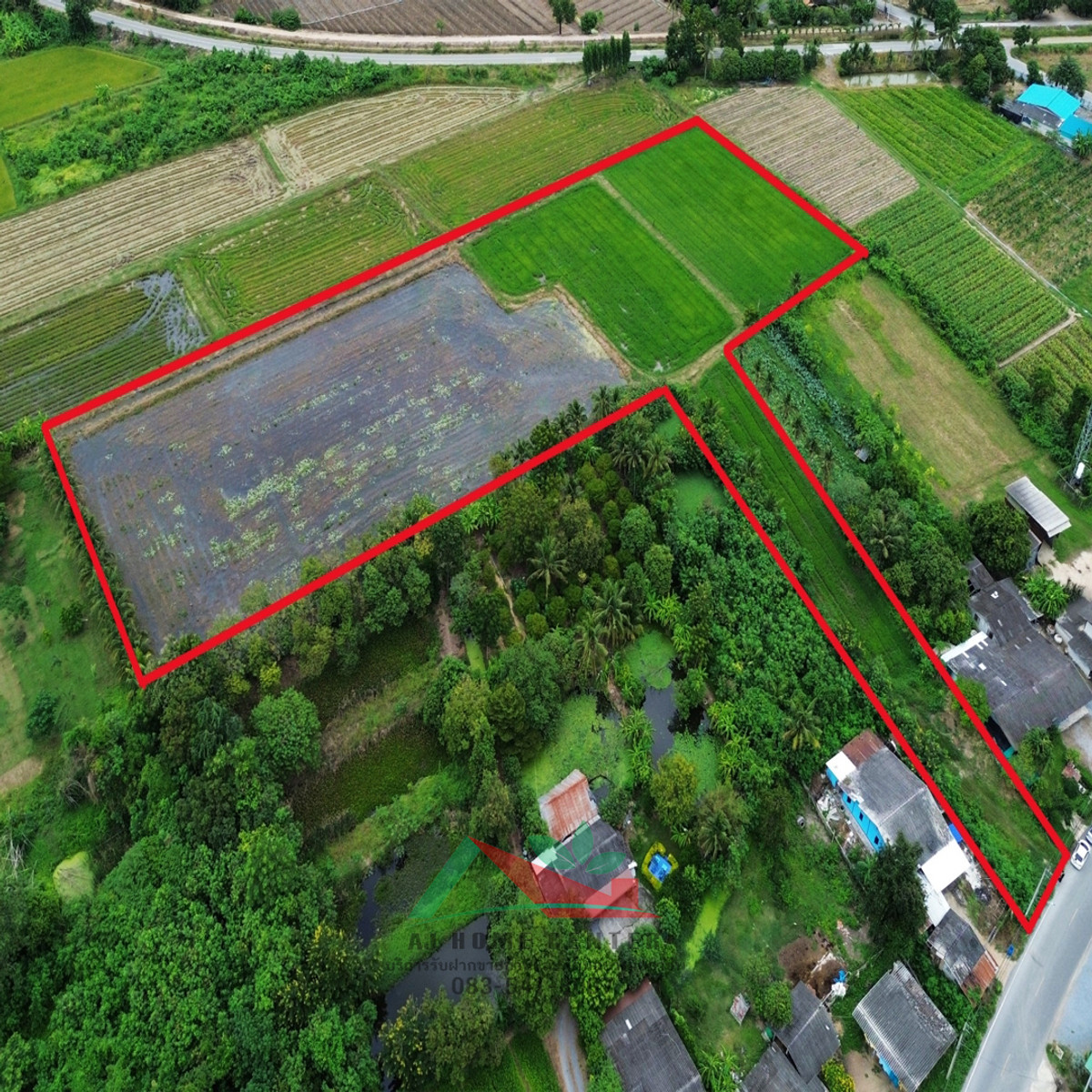 Empty land for sale, 10-1-78 rai, already filled, Natth Road 4042, Rang Phikun Subdistrict, price ready to negotiate. – รูปที่ 2