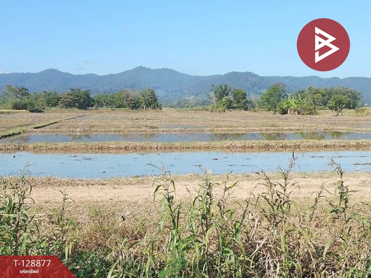 Rice land for sale, area 8 rai 3 ngan 49 square wah, Wiang Pa Pao, Chiang Rai – รูปที่ 3