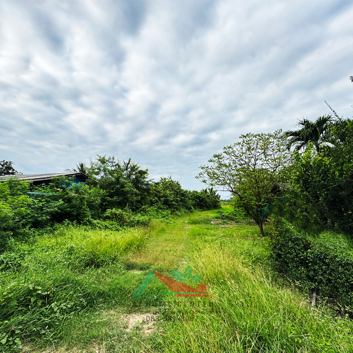 Empty land for sale, 10-1-78 rai, already filled, Natth Road 4042, Rang Phikun Subdistrict, price ready to negotiate. – รูปที่ 3