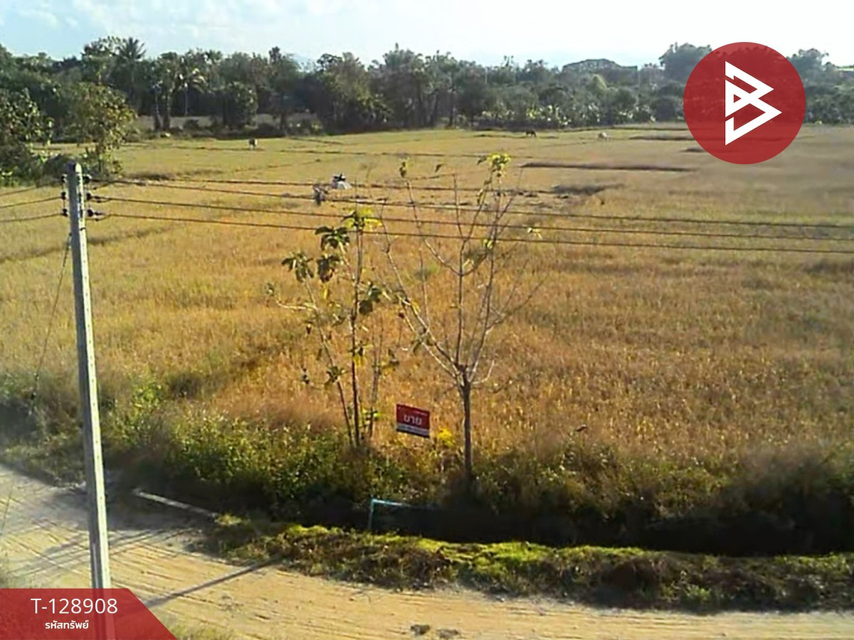 ขายที่ดิน เนื้อที่ 3 ไร่ 2 งาน 74 ตร.วา สันป่าตอง เชียงใหม่ – รูปที่ 3