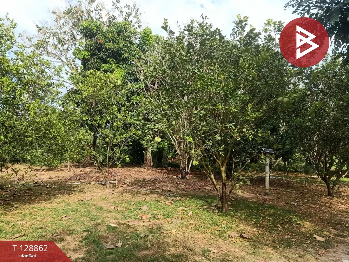 ขายที่ดิน เนื้อที่ 15 ไร่ 2 งาน 33.5 ตร.วา สาริกา นครนายก – รูปที่ 3