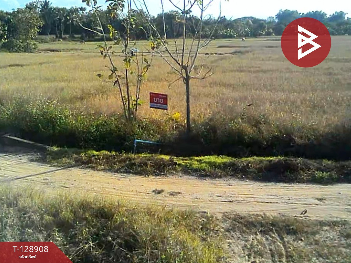 ขายที่ดิน เนื้อที่ 3 ไร่ 2 งาน 74 ตร.วา สันป่าตอง เชียงใหม่ – รูปที่ 2
