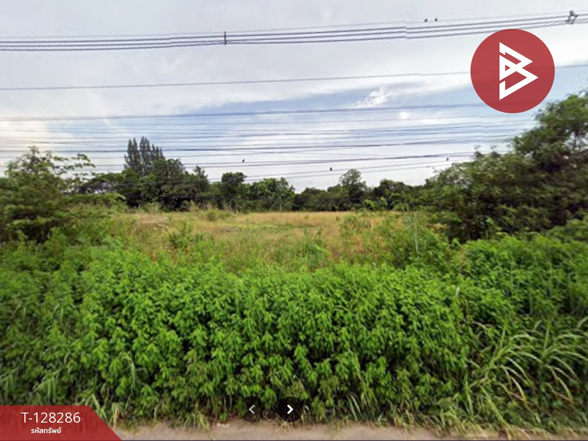 ขายที่ดิน เนื้อที่ 1 ไร่ ปากช่อง นครราชสีมา ขายที่ดิน เนื้อที่ 1 ไร่ ปากช่อง นครราชสีมา