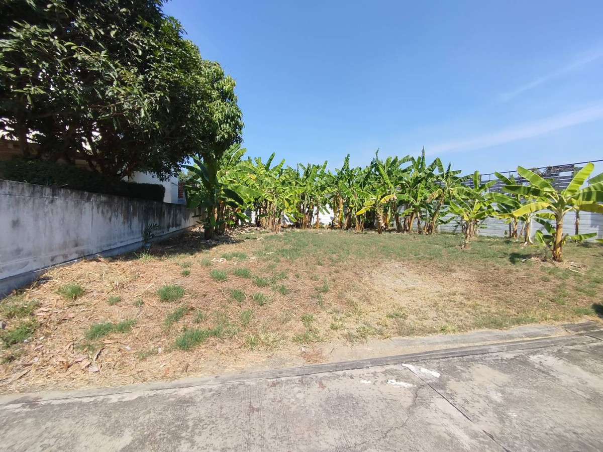 ขายที่ดินจัดสรร ในหมู่บ้านบุษราคัม พาร์คเลน 112 ตรว. – รูปที่ 2