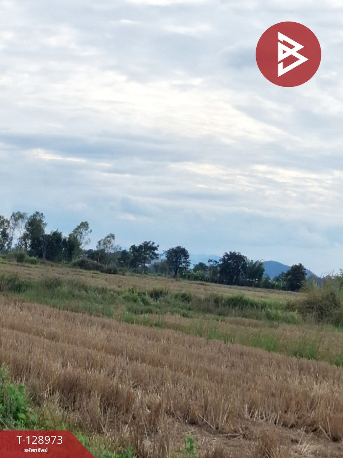 Land for sale, area 4 rai 77.3 sq m, Thoeng, Chiang Rai. – รูปที่ 2
