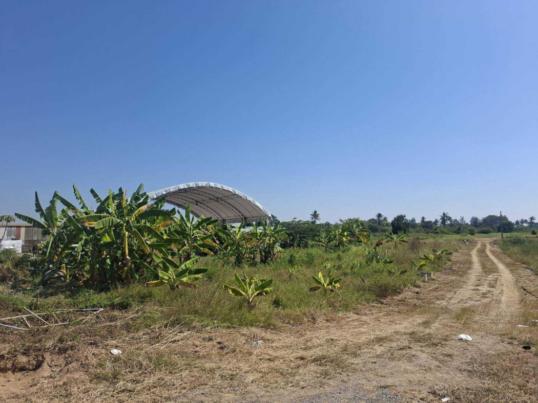 Beautiful 60-rai plot of land for sale opposite Central Salaya, Nakhon Pathom. Ideal for business development. – รูปที่ 2