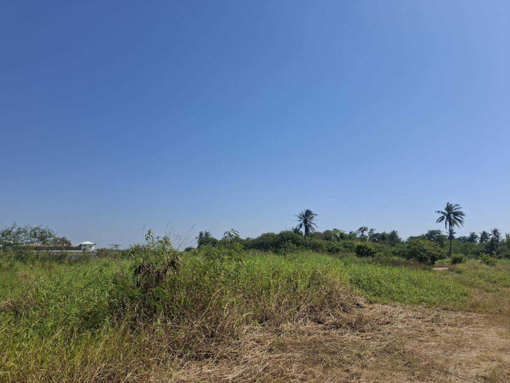 Beautiful 60-rai plot of land for sale opposite Central Salaya, Nakhon Pathom. Ideal for business development. – รูปที่ 3