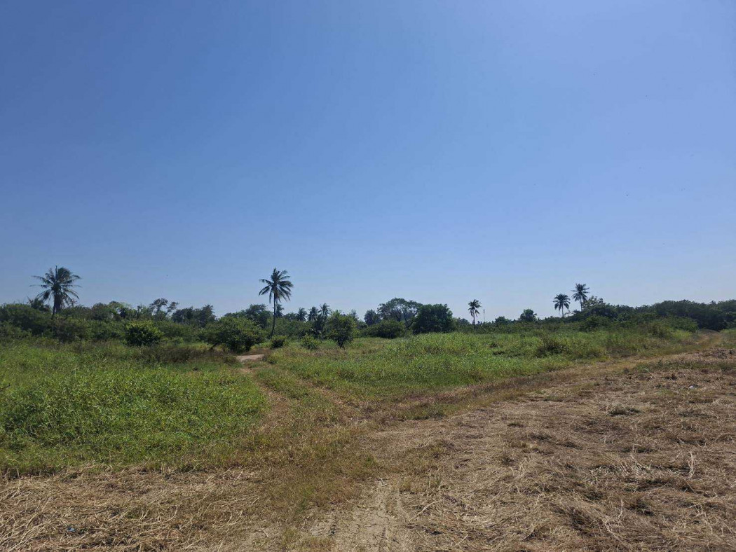 Beautiful 60-rai plot of land for sale opposite Central Salaya, Nakhon Pathom. Ideal for business development. – รูปที่ 4