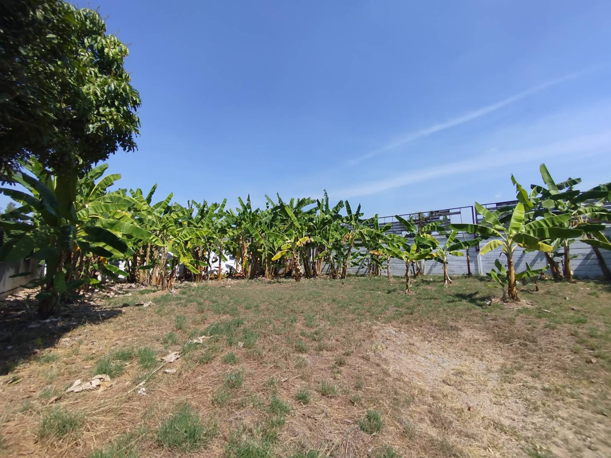 ขายที่ดินจัดสรร ในหมู่บ้านบุษราคัม พาร์คเลน 112 ตรว. – รูปที่ 3