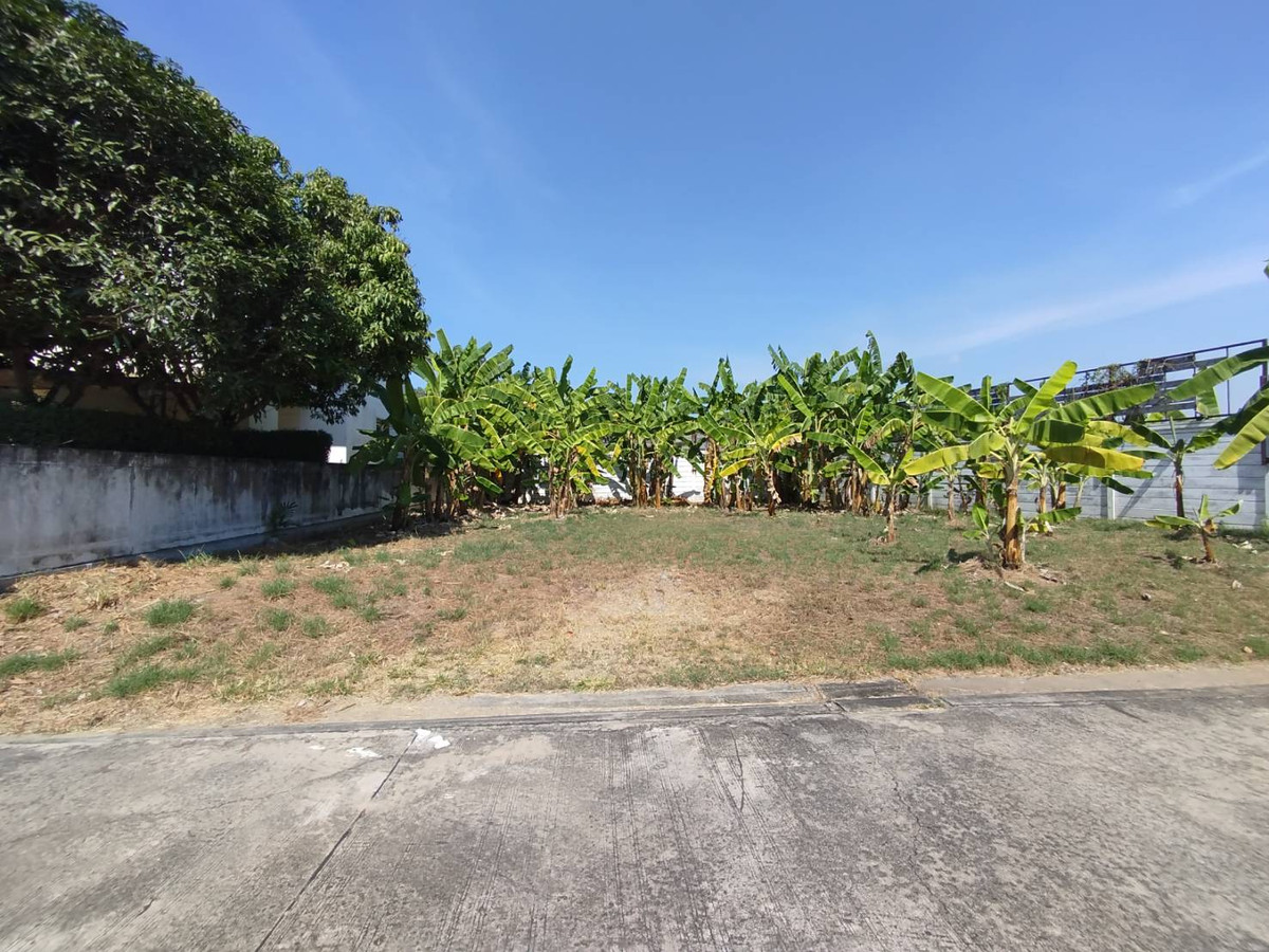 Allocated land for sale In Busarakam Park Lane Village, 112 sq m.