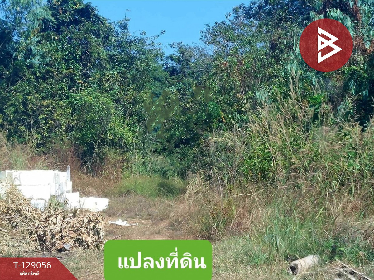 ขายที่ดิน เนื้อที่ 1 งาน อ.เพ็ญ อุดรธานี อยู่ในพื้นที่ชุมชน – รูปที่ 2