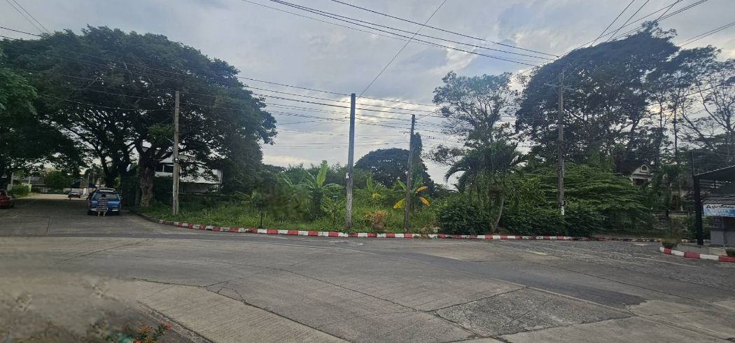 Land for sale, Soi 1, Ruam Kao Village, 236 sq m, Phutthamonthon Sai 2, Soi 11, Bang Khae, Bangkok – รูปที่ 3