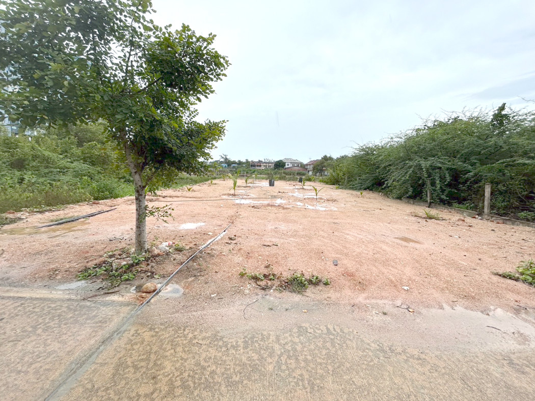 ขาย ที่ดิน ใกล้ชายหาดชะอำ เพชรบุรี 128 ตรว  ใกล้ชายหาด แค่ 600 เมตร – รูปที่ 3
