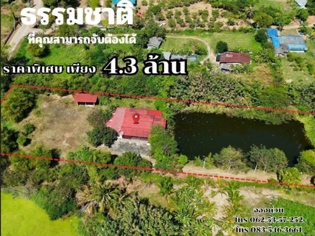 ขายบ้านเรือนไทยสไตล์ปูนผสมไม้ พร้อมที่ดินผืนใหญ่ ขายบ้านเรือนไทยสไตล์ปูนผสมไม้ พร้อมที่ดินผืนใหญ่