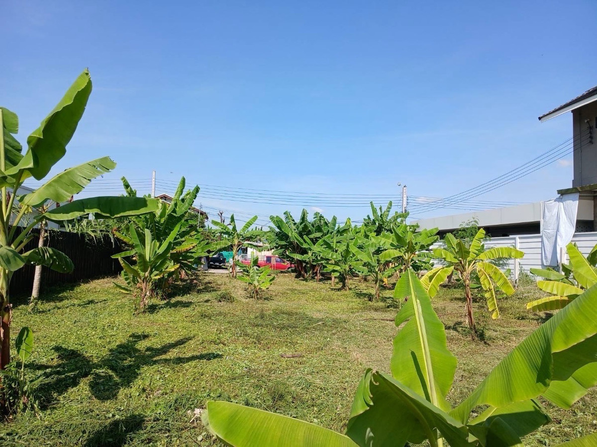 ขายที่ดิน พัฒนาการ ขนาด 191 ตร.ว ทำเลที่อยู่อาศัยศักยภาพ ใกล้ศรีนครินทร์–อ่อนนุช