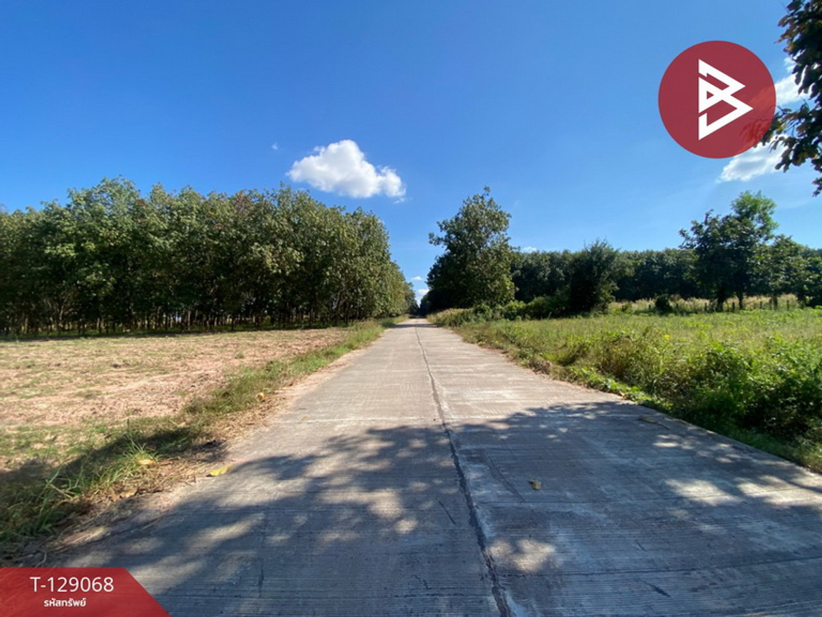 Land for sale, area 3 ngan 25 sq m, Udon Thani. – รูปที่ 2