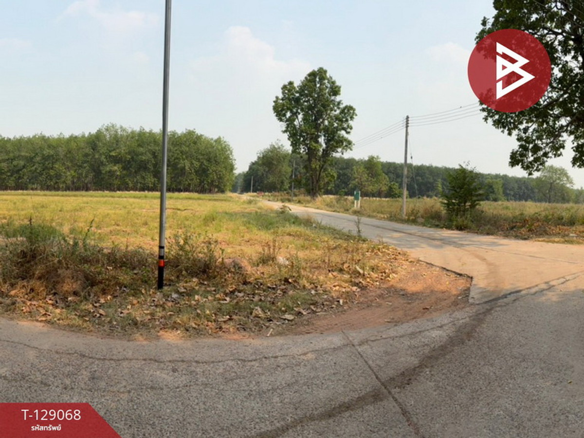 Land for sale, area 3 ngan 25 sq m, Udon Thani. – รูปที่ 3