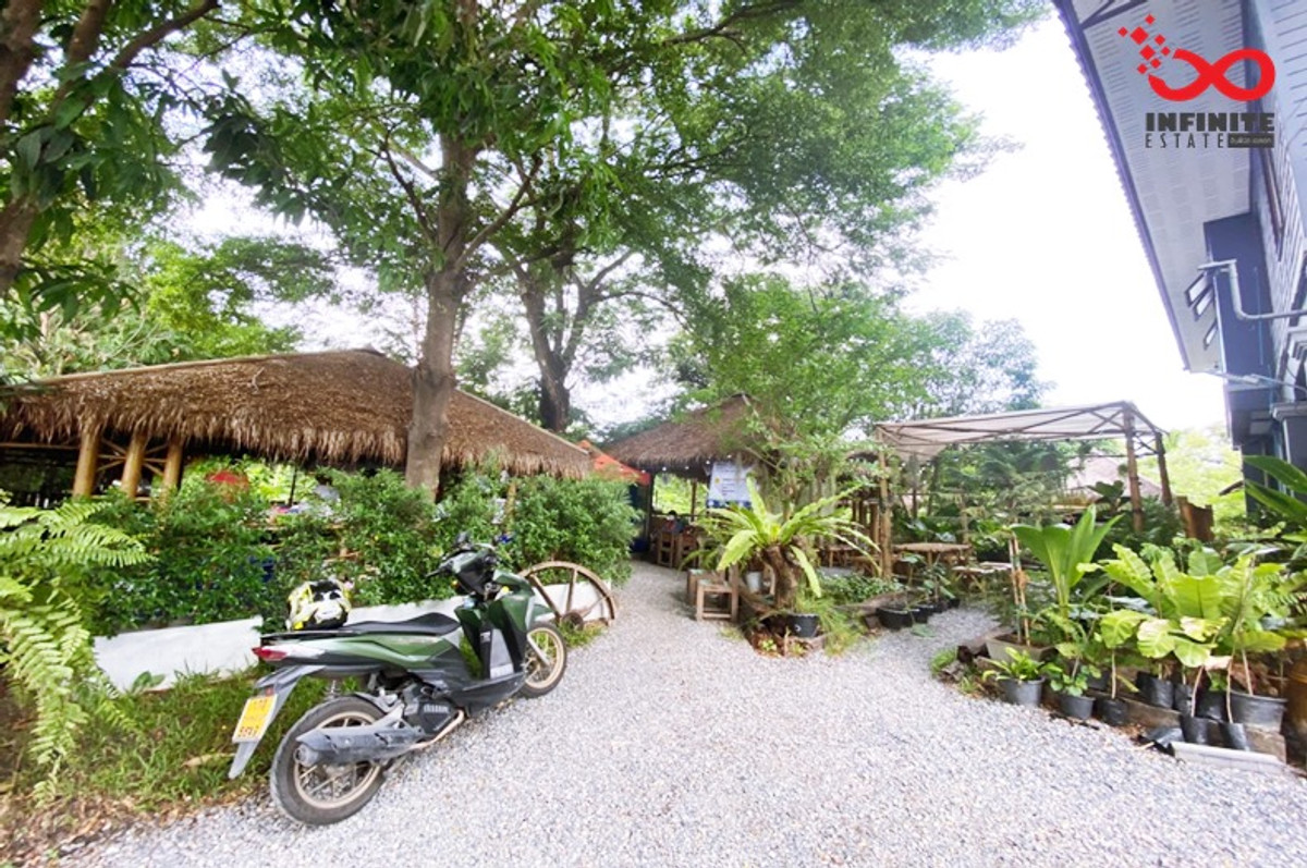 ขายที่ดิน 423 ตรว.พร้อมสิ่งปลูกสร้าง โพธิ์แก้ว 3 แยก16  ลาดพร้าว101  – รูปที่ 3