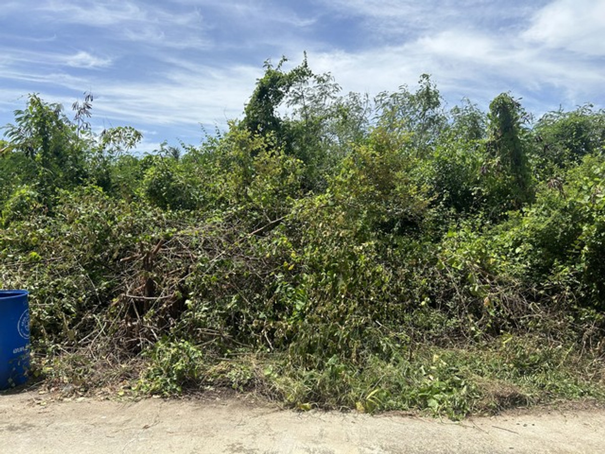 ขายที่ดินเปล่า 140 ตร.ว หมู่บ้านกำแพงแสนกรีนแลนด์ นครปฐม ใกล้รพ.อินเตอร์กำแพงแสน – รูปที่ 3