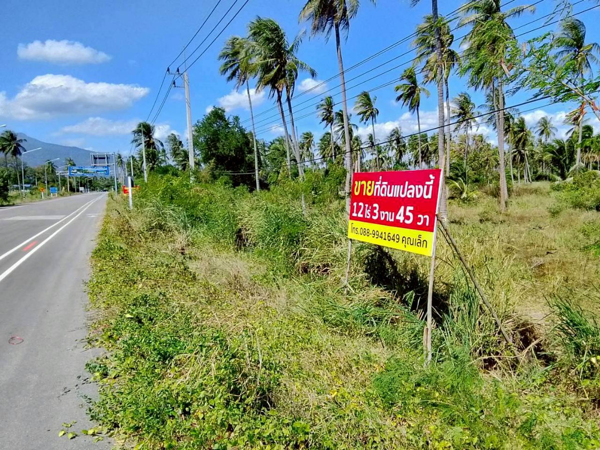 ขายด่วน! ที่ดินทำเลทอง ติดถนนใหญ่ ทับสะแก-หาดวนกร 12 ไร่เศษ เหมาะพัฒนาโครงการ น่าลงทุน – รูปที่ 4