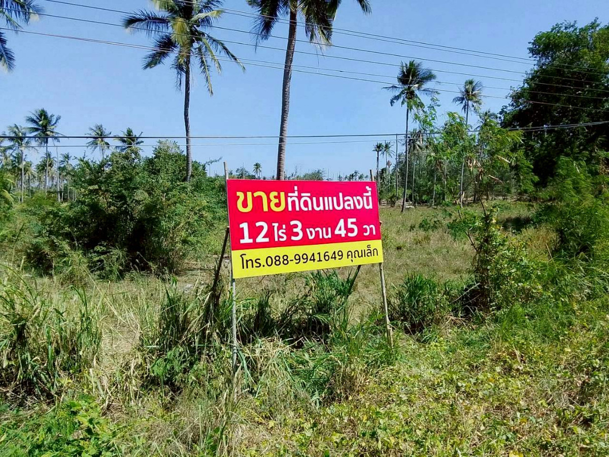 ขายด่วน! ที่ดินทำเลทอง ติดถนนใหญ่ ทับสะแก-หาดวนกร 12 ไร่เศษ เหมาะพัฒนาโครงการ น่าลงทุน – รูปที่ 2
