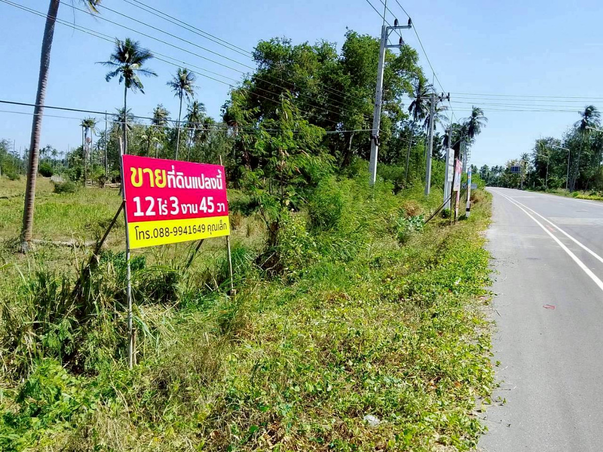 ขายด่วน! ที่ดินทำเลทอง ติดถนนใหญ่ ทับสะแก-หาดวนกร 12 ไร่เศษ เหมาะพัฒนาโครงการ น่าลงทุน – รูปที่ 3