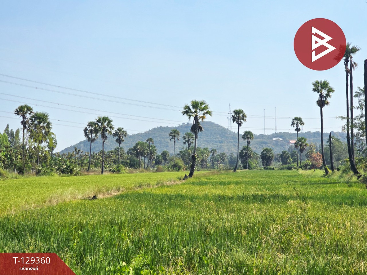 Land for sale, area 5 rai 20 sq m, Rai Som, Phetchaburi. – รูปที่ 2