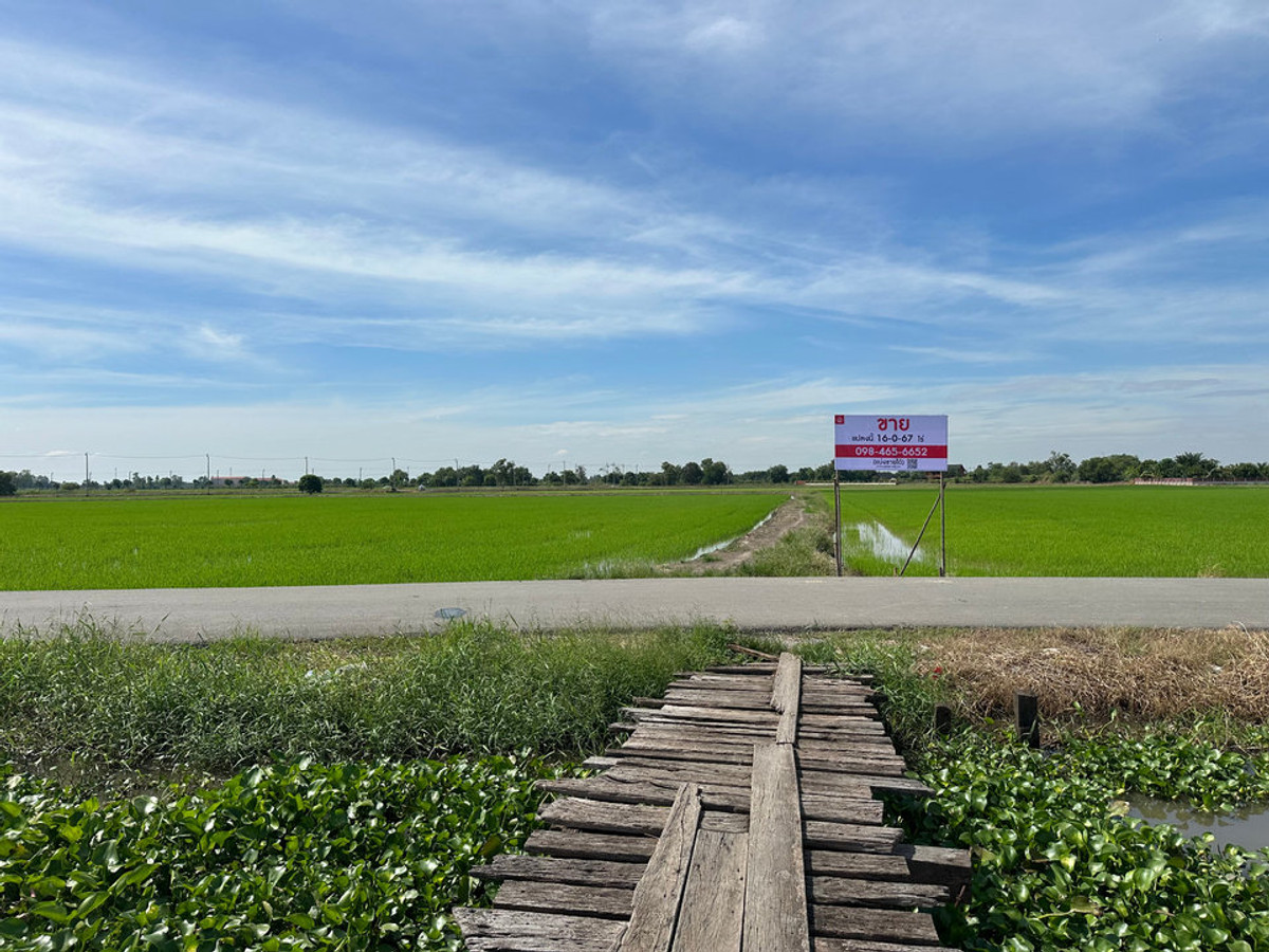 ขายที่ดินซอยสุวินทวงศ์ 106 หน้ากว้างติดถนนซอย 200 ม. หนองจอก กทม. ใกล้สนามกีฬา FBT ราคาต่อรองได้ – รูปที่ 3