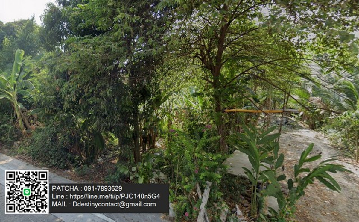 ขายด่วน! ที่ดินสวนผลไม้ ราคาถูกมาก ซอยไทรม้า เมืองนนทบุรี เหมาะสำหรับนักลงทุน หรือผู้ที่มองหาพื้นที่สีเขียวในเมือง – รูปที่ 4