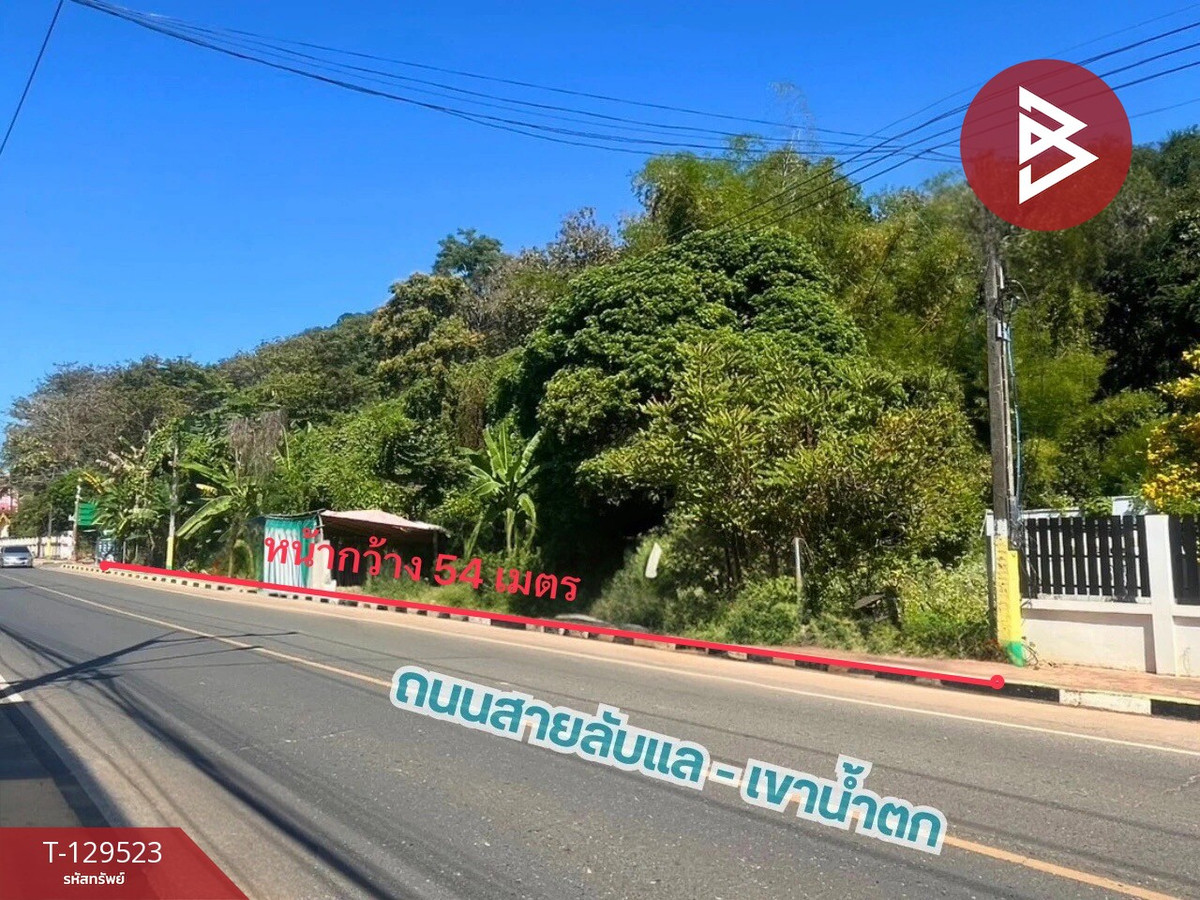 ขายด่วน ที่ดินทำเลดี หน้ากว้าง ติดถนนลับแล-เขาน้ำตก เหมาะสร้างที่พักอาศัยหรือทำการค้า – รูปที่ 3