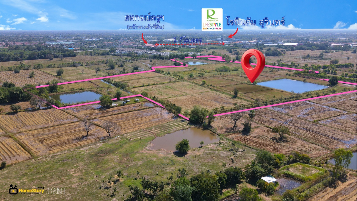 Beautiful plot of land for sale, 74 rai, suitable for a housing project, close to Robinson Surin, only 1 km.  – รูปที่ 4