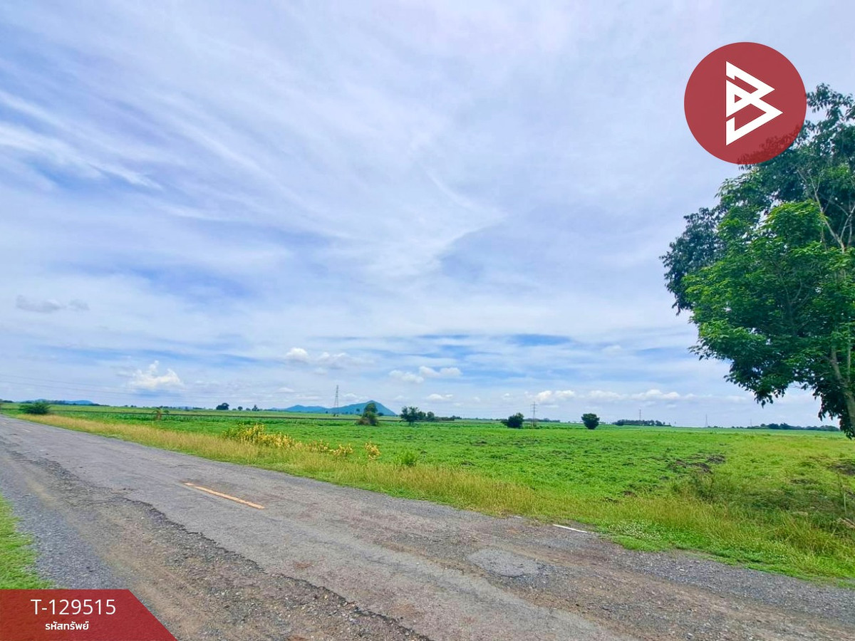 ขายที่ดิน เนื้อที่ 2 ไร่ 3 งาน 41.3 ตร.วา ตาคลี นครสวรรค์ – รูปที่ 4