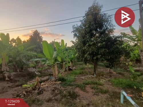 Land for sale with garden, area 9 rai 3 ngan 73 sq m, Na Yai Am, Chanthaburi.