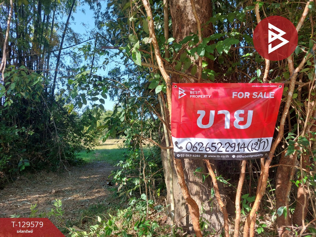 ขายที่ดิน เนื้อที่ 7 ไร่ 2 งาน 20 ตร.วา นาข่า อุดรธานี ขายที่ดิน เนื้อที่ 7 ไร่ 2 งาน 20 ตร.วา นาข่า อุดรธานี