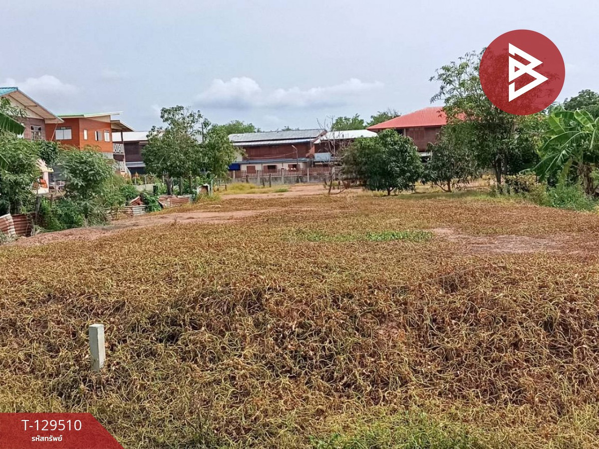 ขายที่ดิน เนื้อที่ 1 ไร่ 75.8 ตร.วา หนองบัว นครสวรรค์ – รูปที่ 4