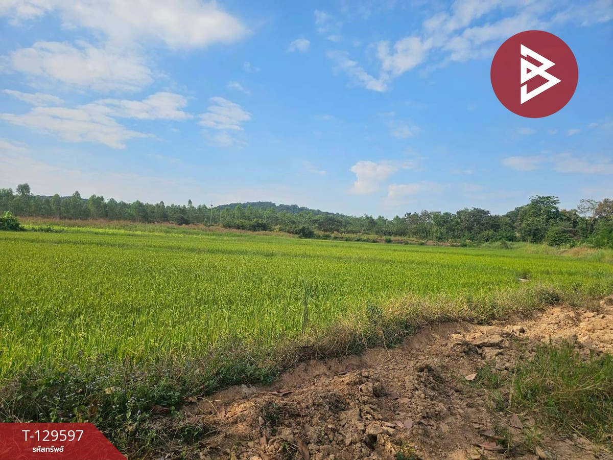 Land for sale, area 12 rai 3 ngan 86 square wa, Khanu Woralaksaburi District, Kamphaeng Phet, good location next to the road. – รูปที่ 2