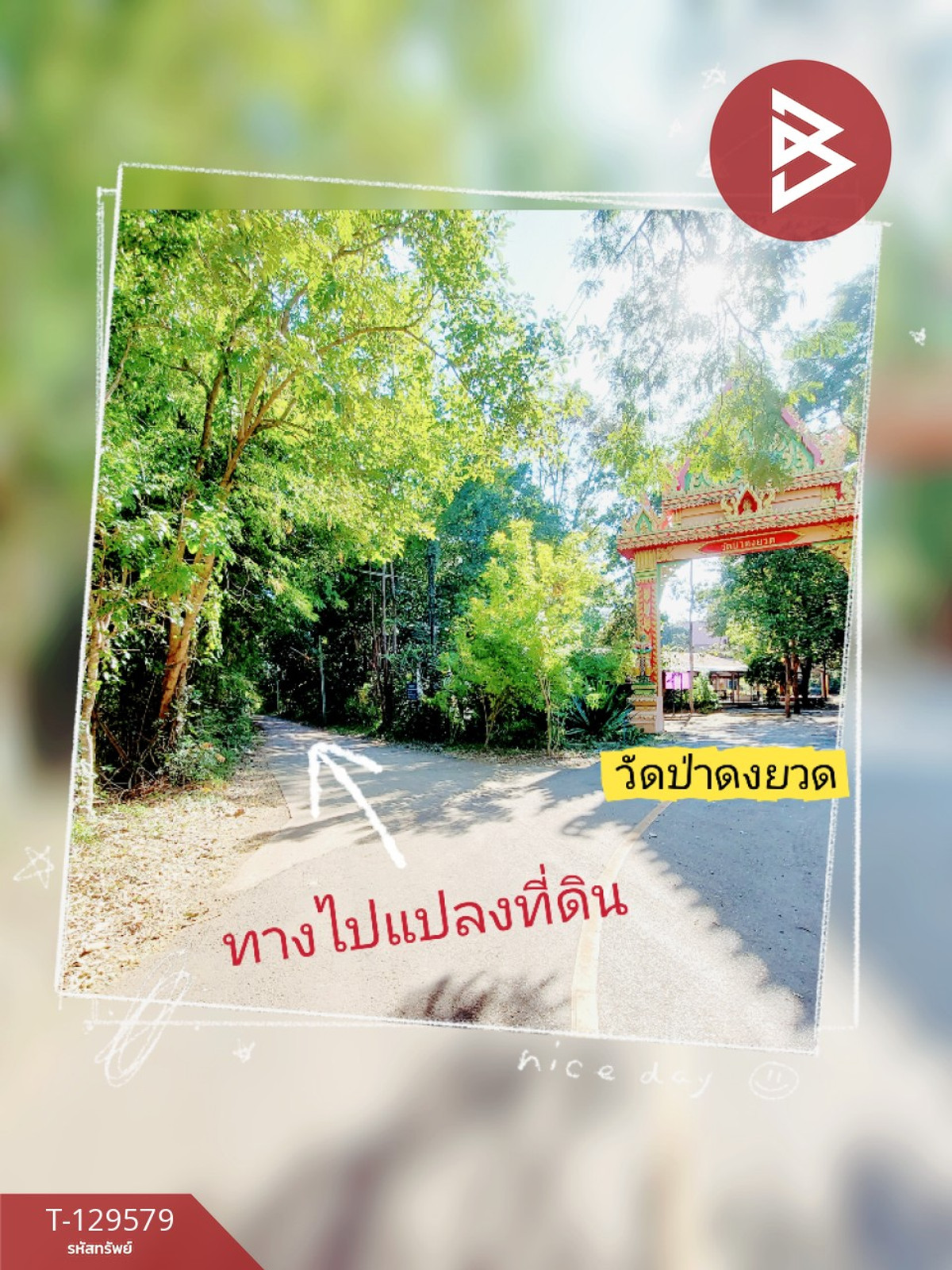 ขายที่ดิน เนื้อที่ 7 ไร่ 2 งาน 20 ตร.วา นาข่า อุดรธานี – รูปที่ 4