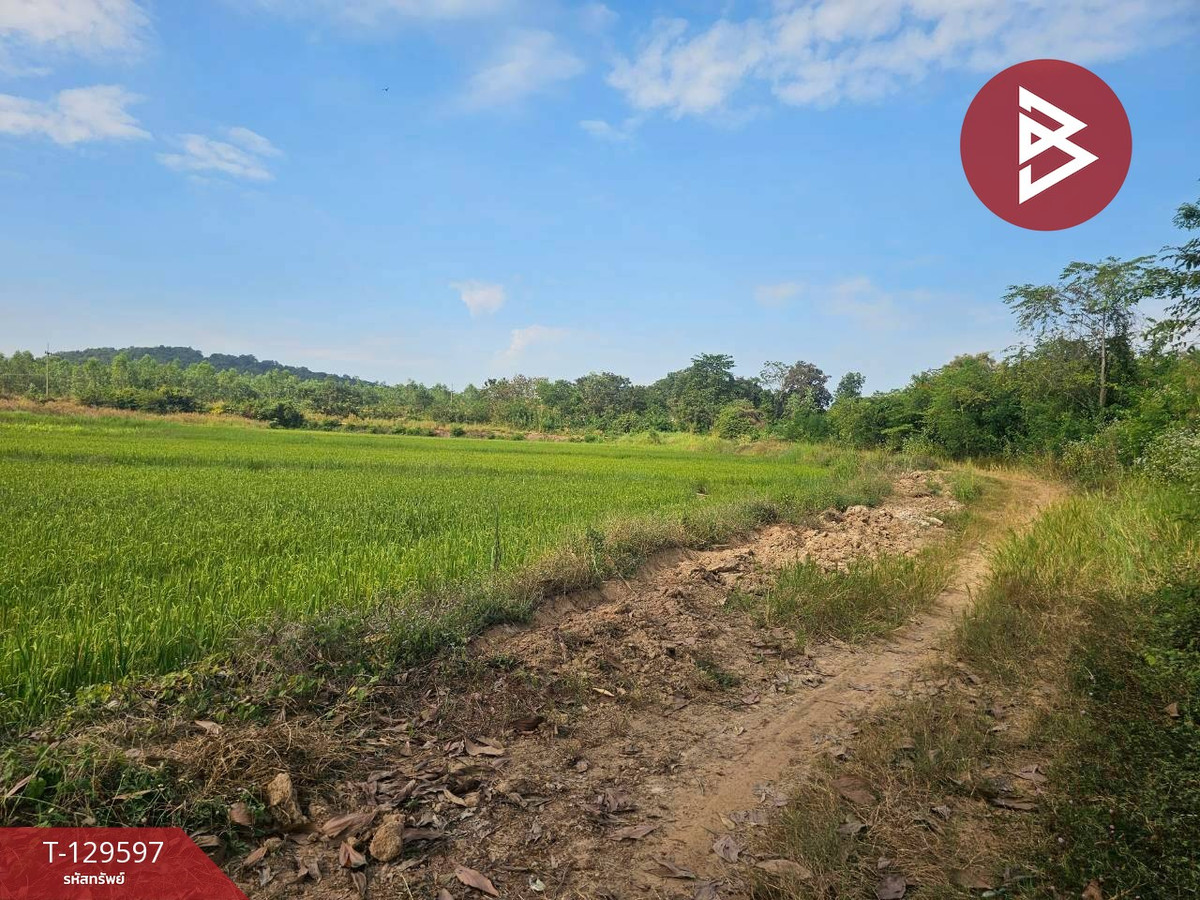 Land for sale, area 12 rai 3 ngan 86 square wa, Khanu Woralaksaburi District, Kamphaeng Phet, good location next to the road. – รูปที่ 3