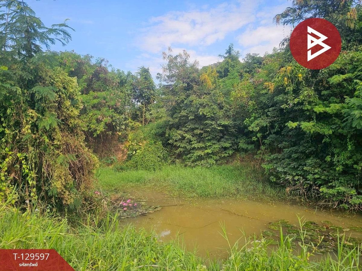 Land for sale, area 12 rai 3 ngan 86 square wa, Khanu Woralaksaburi District, Kamphaeng Phet, good location next to the road. – รูปที่ 4