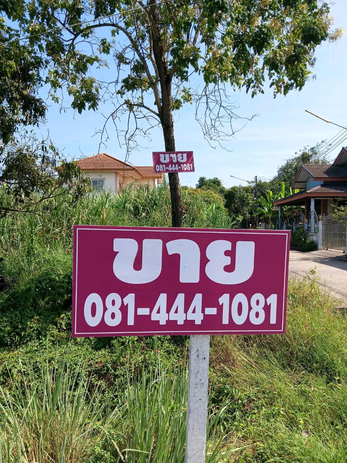 Land for sale, 104 sq m, location Khlong 13 (Rangsit), Bueng Nam Rak Subdistrict, Thanyaburi District, Pathum Thani Province, 50 meters from Rangsit-Nakhon Nayok Road (305). Land for sale, 104 sq m, location Khlong 13 (Rangsit), Bueng Nam Rak Subdistrict, Thanyaburi District, Pathum Thani Province, 50 meters from Rangsit-Nakhon Nayok Road (305).