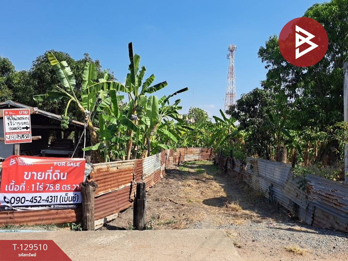 ขายที่ดิน เนื้อที่ 1 ไร่ 75.8 ตร.วา หนองบัว นครสวรรค์ – รูปที่ 3