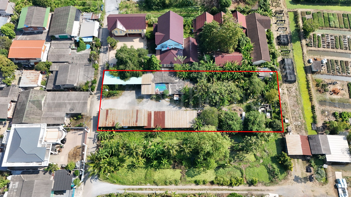 1 rai of land, Soi Sukonthawit 29, Krathum Baen - Samut Sakhon, cheap price. – รูปที่ 3