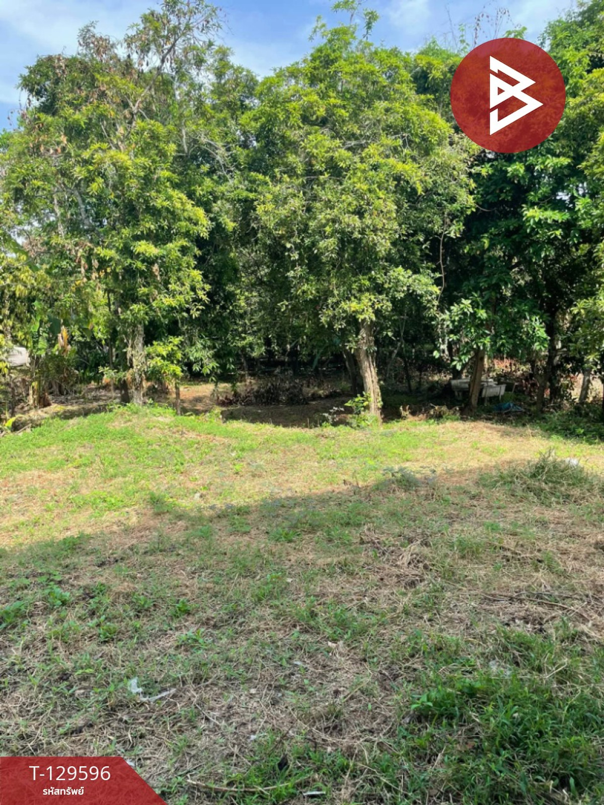 Land for sale, area 3 ngan 56 sq m, Ban Lat, Phetchaburi. – รูปที่ 4