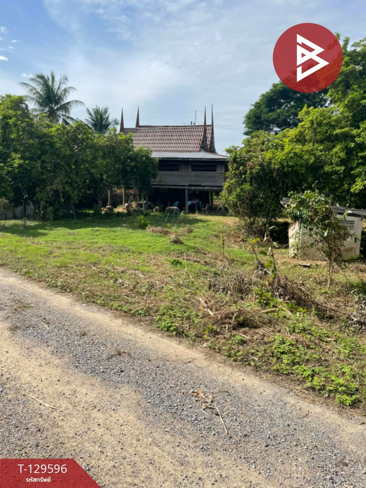 ขายที่ดินบ้าน 3 งาน 56 ตร.วา ทำเลใกล้แม่น้ำเพชรบุรี บรรยากาศบ้านสวน ใกล้แหล่งท่องเที่ยว 
